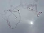 DSCF05-8