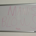 Mantis-Blows.JPG