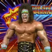 the ultimate warrior-