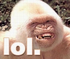 uploaded lol